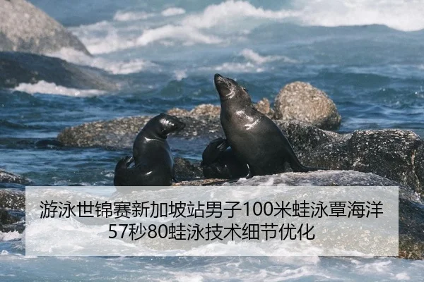 游泳世锦赛新加坡站男子100米蛙泳覃海洋57秒80蛙泳技术细节优化