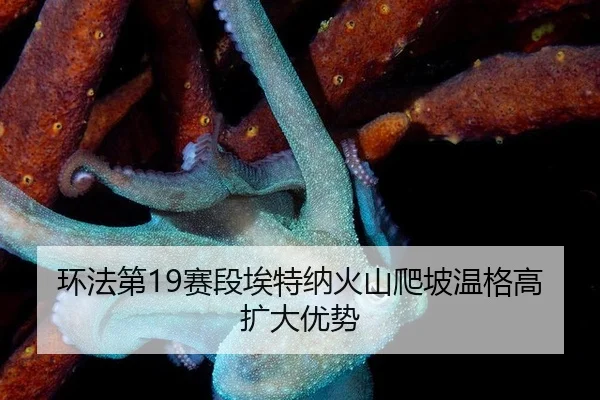 huan-fa-di-sai-duan-ai-te-na-huo-shan-pa-po-wen-ge-gao-kuo-da-you-shi-3-598.jpg